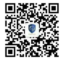 隐形战场上的“定海神针”：为何知识产权维权离不开电子数据鉴定？