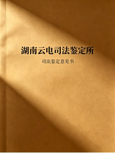 “盲道被撞”竟是摆拍?警方快速破案背后,有一群让电子数据“开口说话”的人 “盲道被撞”竟是摆拍?警方快速破案背后,有一群让电子数据“开口说话”的人
